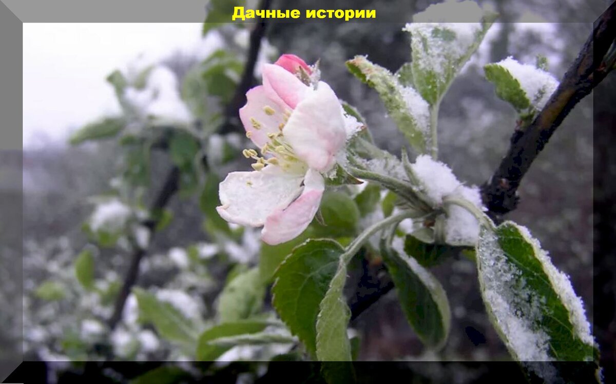 https://vk.com/photo-159774511_457253261