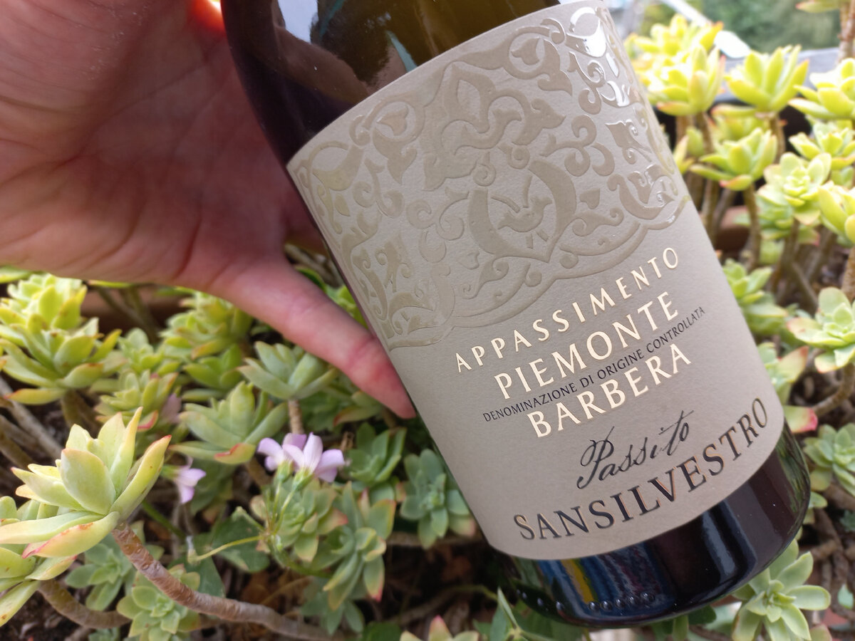 Аппассименто Барбера, фото автора