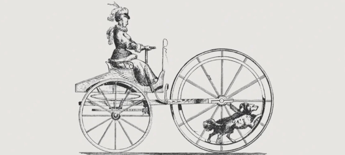 10 самых нелепых изобретений для животных