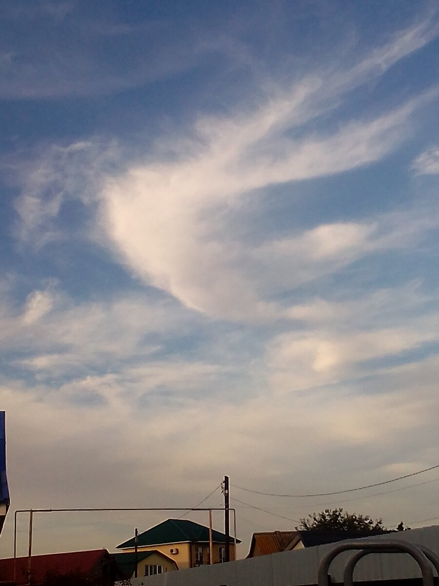 Все фотографии в статье мои. 