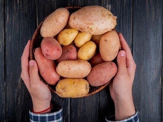     Фото: @stockking , freepik.com.