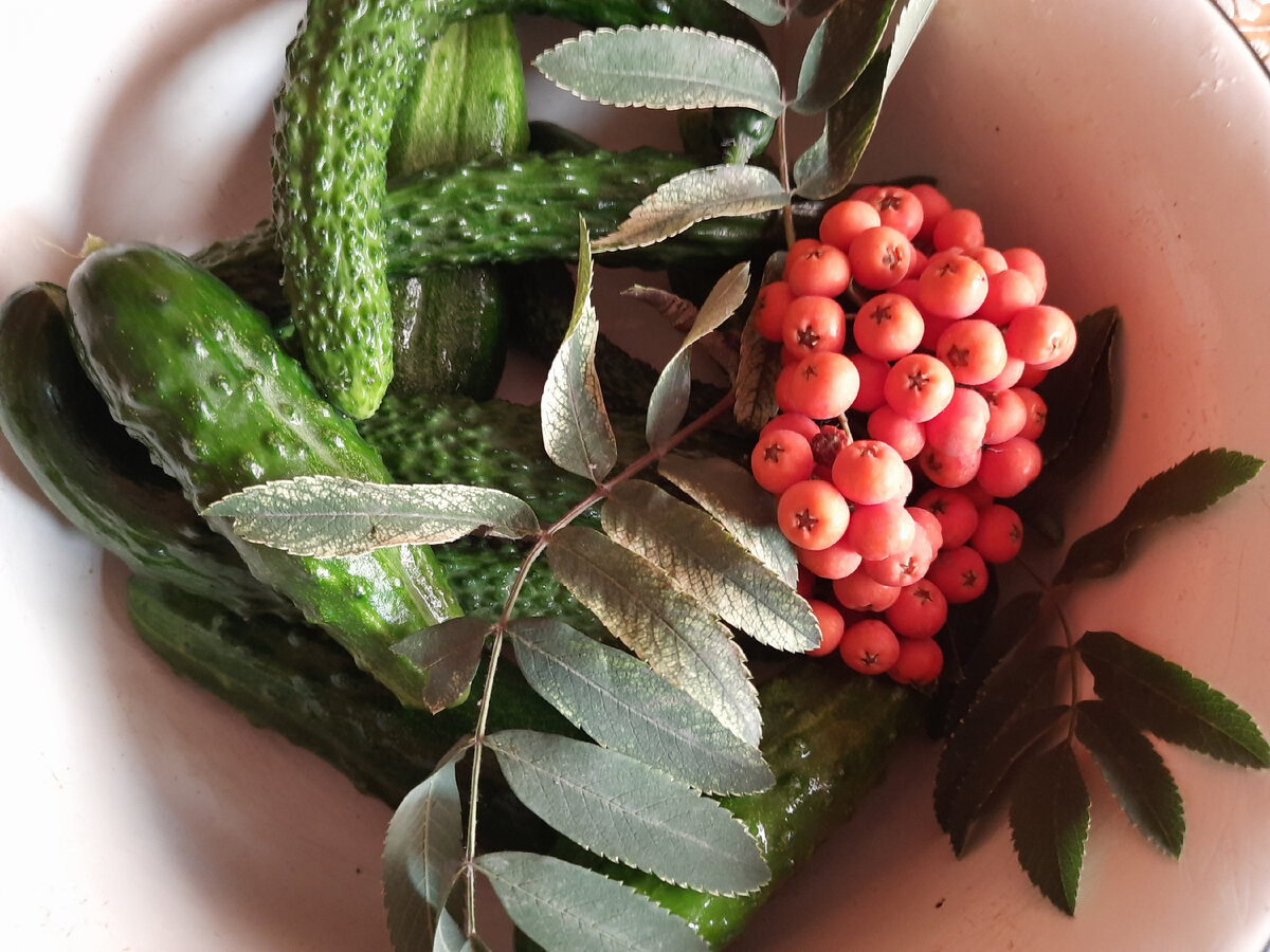 Для заготовок