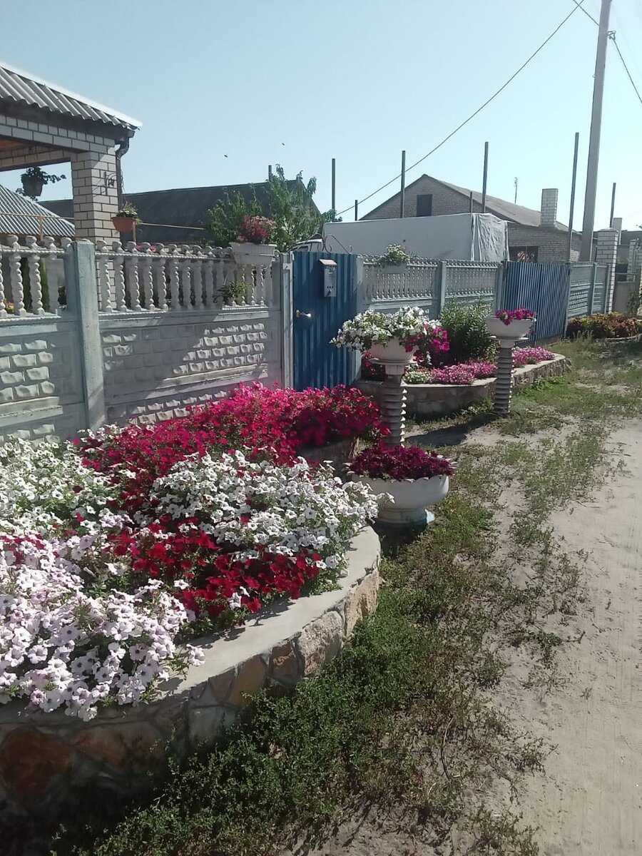 Общий вид центральной части задворья (фото автора)