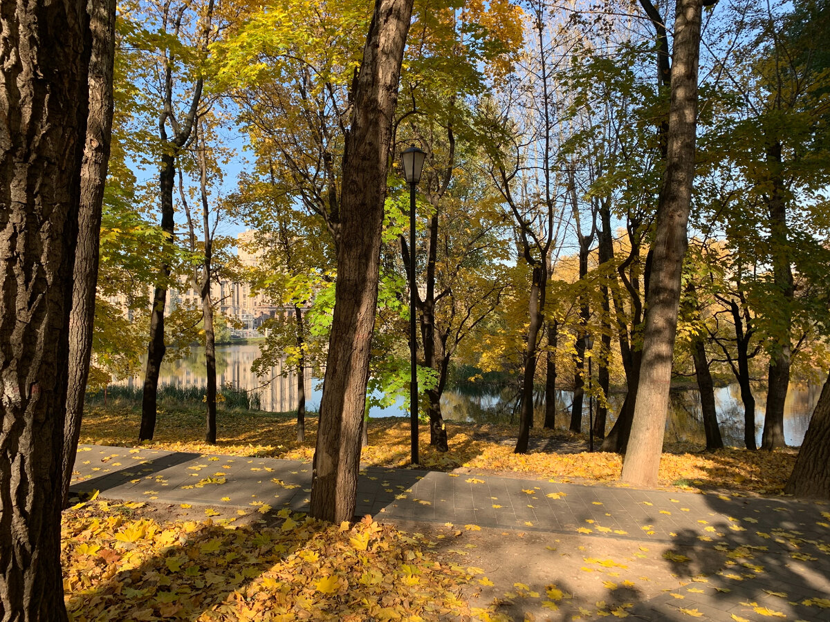 Лефортовский парк в октябре 2021 года. Фото моё.