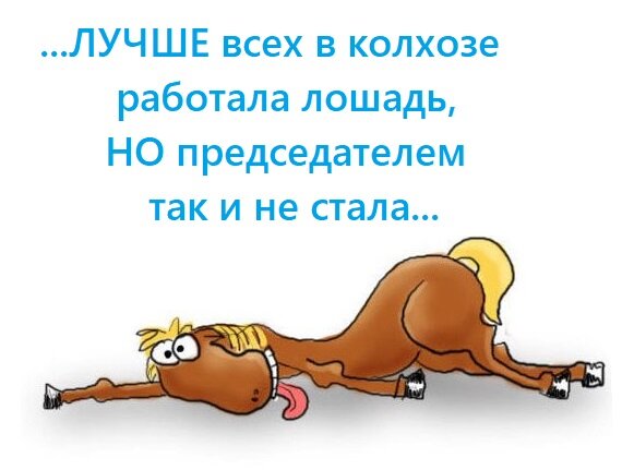 Картинка из интернета