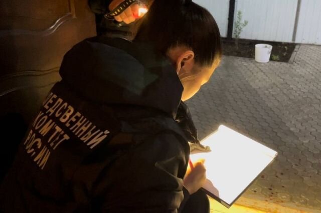    Что известно об убийстве дедушки 16-летней внучкой в Москве?