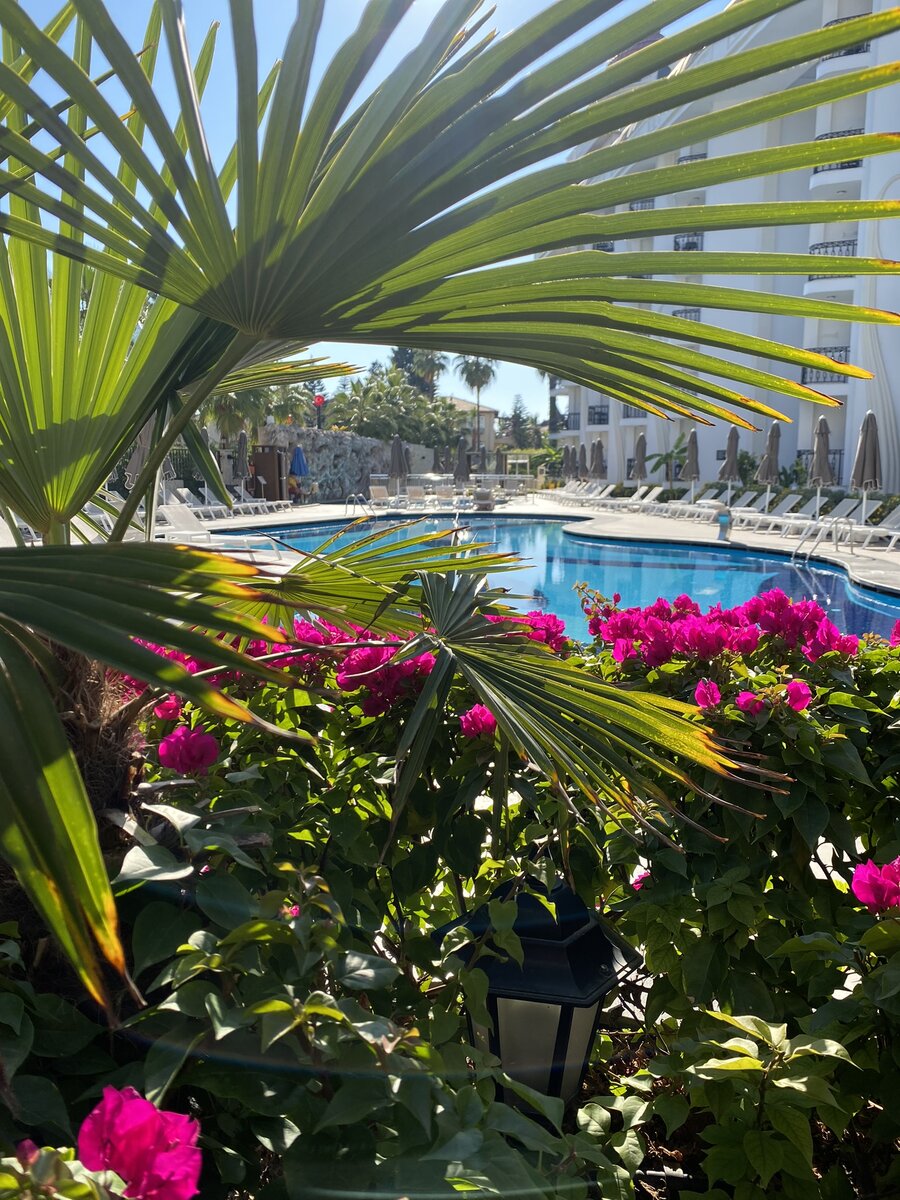 Когда все включено