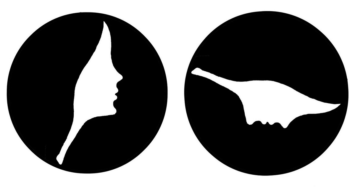 Эта работа называется «Динозавр». Иллюстрации (здесь и далее): Тэнго Гао. 