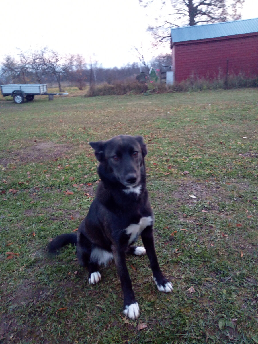 фото Жули 29 октября 2020 год         