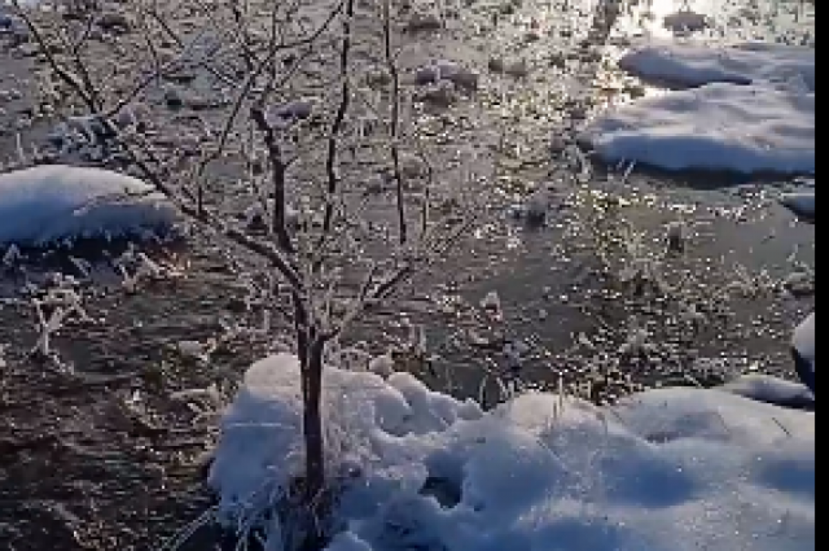    В пензенской Заре из-под земли забили «фонтанчики», дома остались без воды