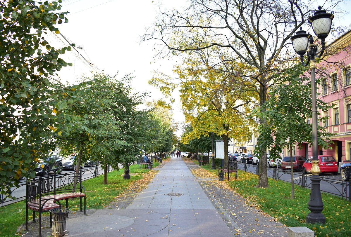 пешеходная аллея. благоустройство улицы. аллея космонавтов звездный городок. сквер парк бульвар аллея отличия. аллея на проспекте ленина екб.