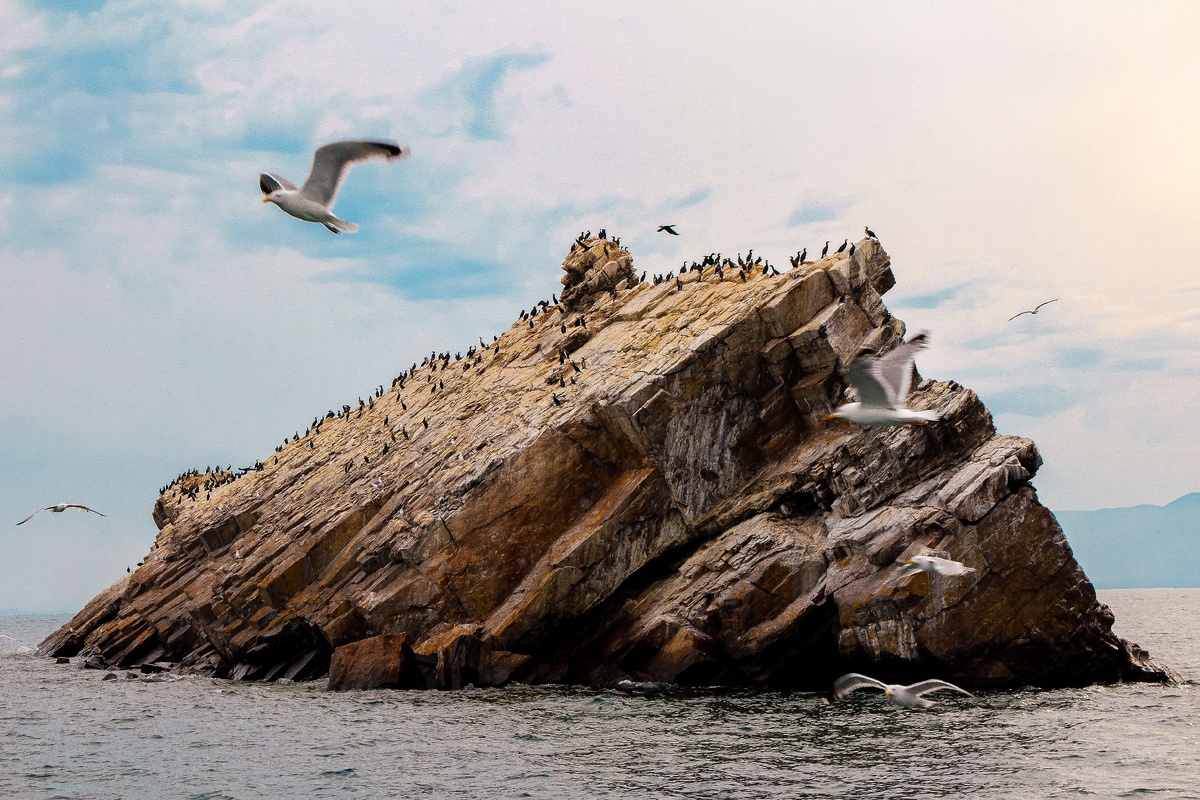 Photo by Artemis Faul on Unsplash