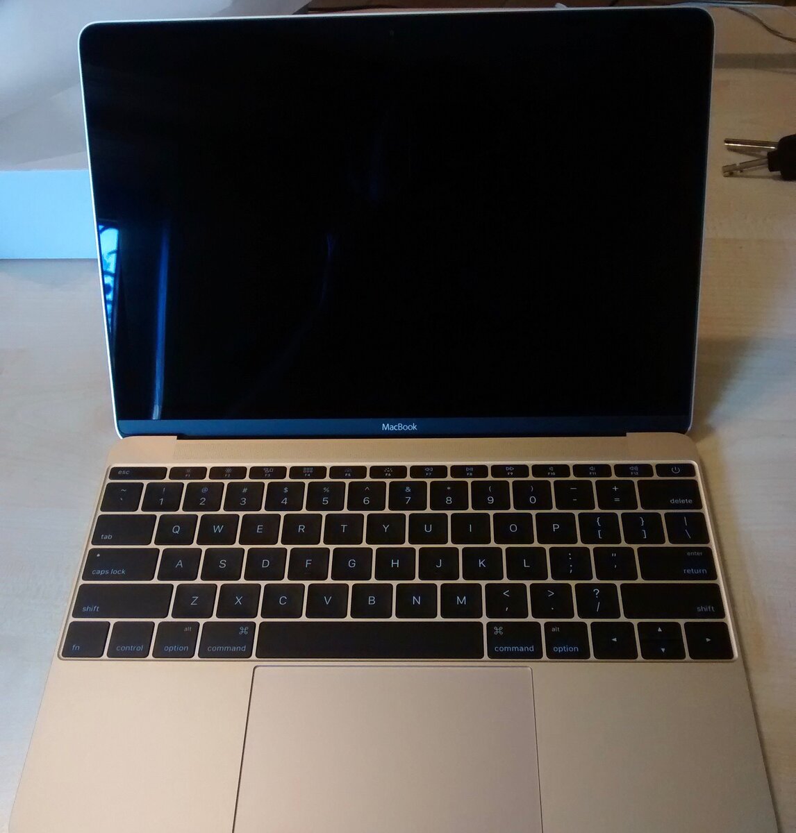 Золотой мак