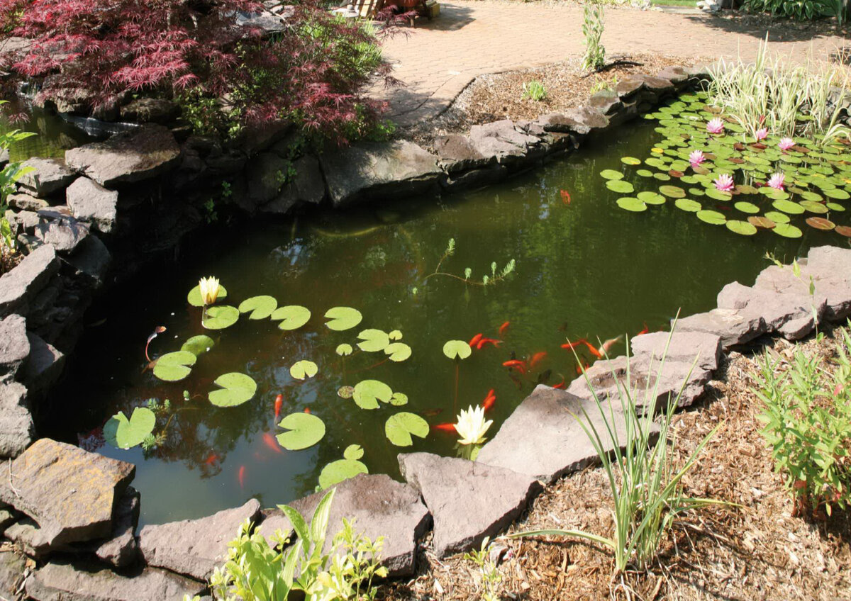 Искусственный водоем