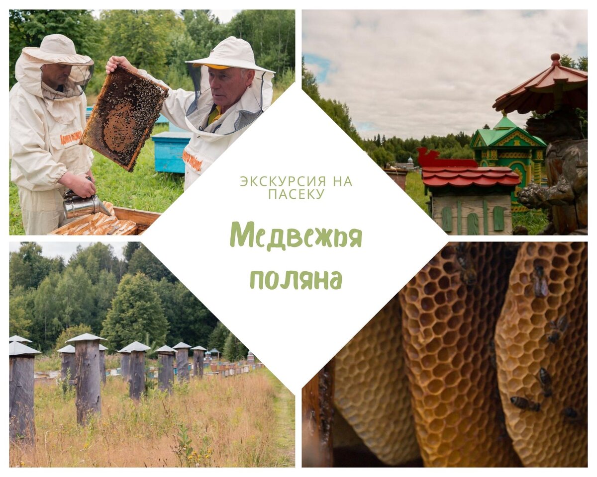 Пасека Медвежья поляна в Перми