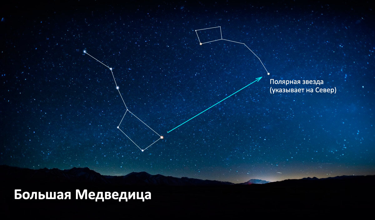 Большая и малая медведица созвездие картинки