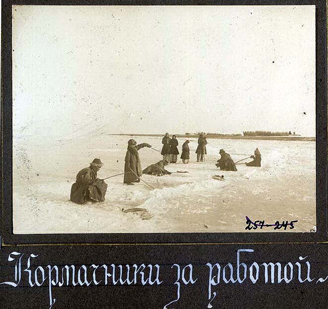 Кормачники за работой. Фото Н.Г. Катанаева, оз. Зайсан, 1909 г.  Из альбома «Виды территории Сибирского казачьего войска», 1913 г.