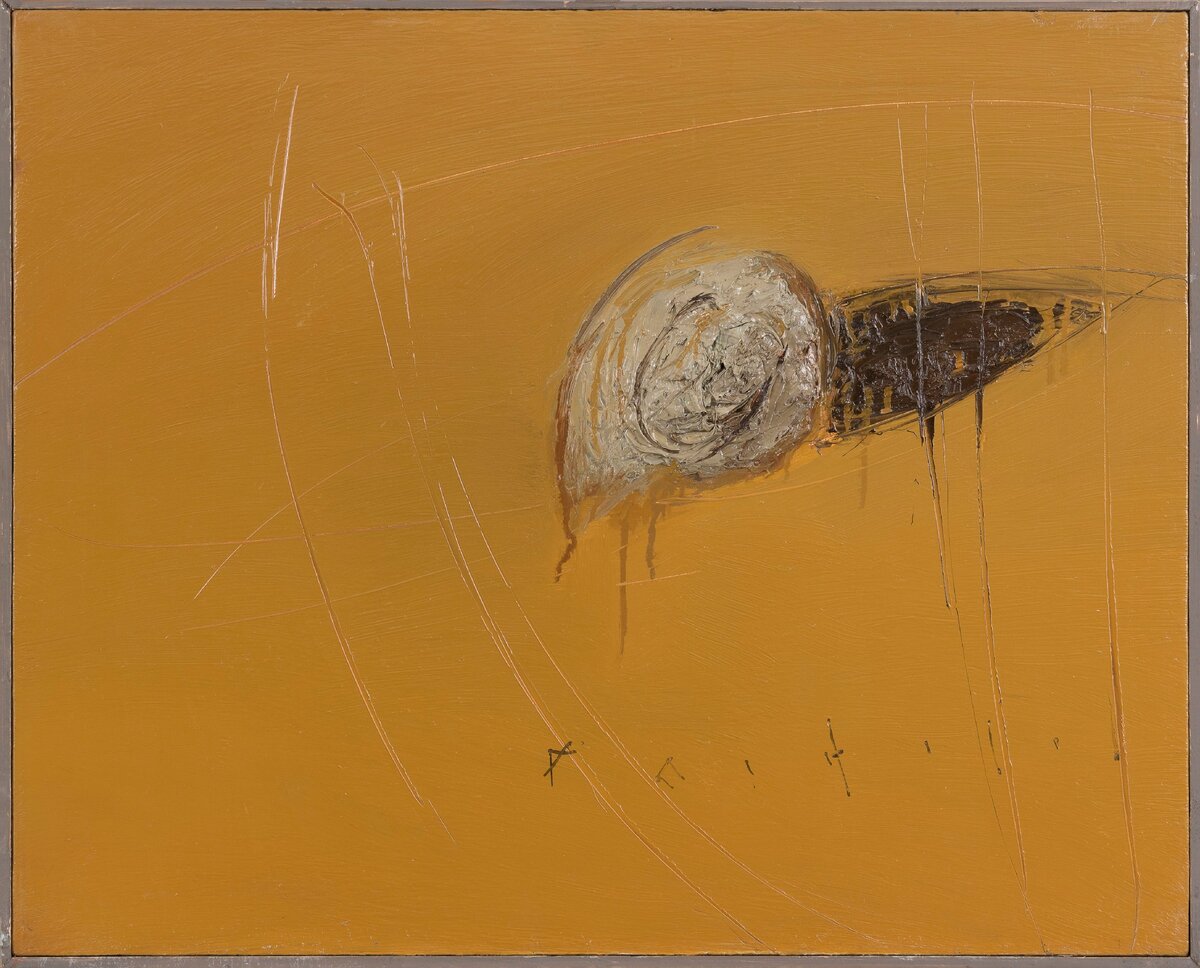Пестерев Александр, Раковина. 2010, холст, масло, 60х75,5. Арт Холдинг Татьяны Никитиной, Санкт-Петербург.