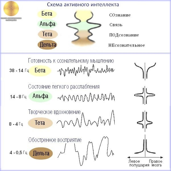 Альфа ритм мозга