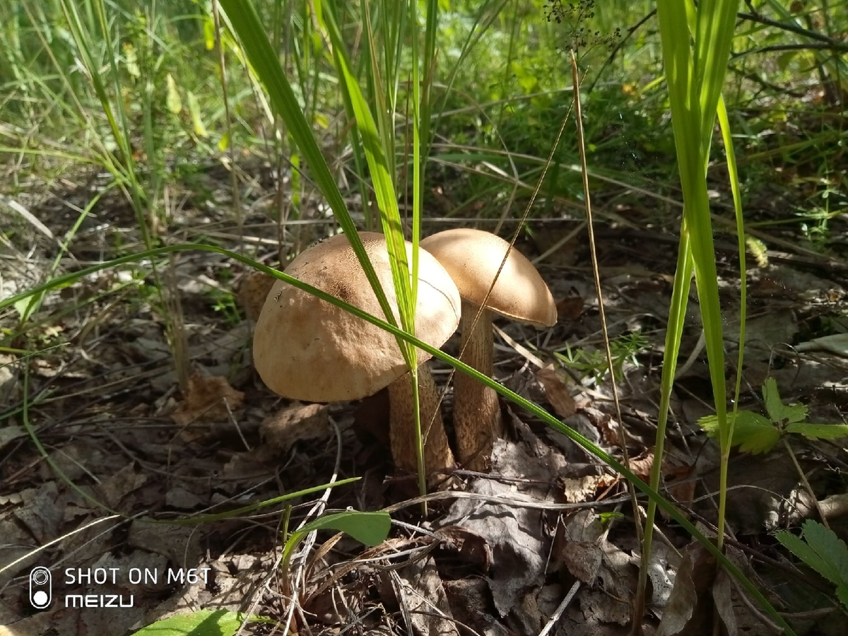 Автор - фото собственное