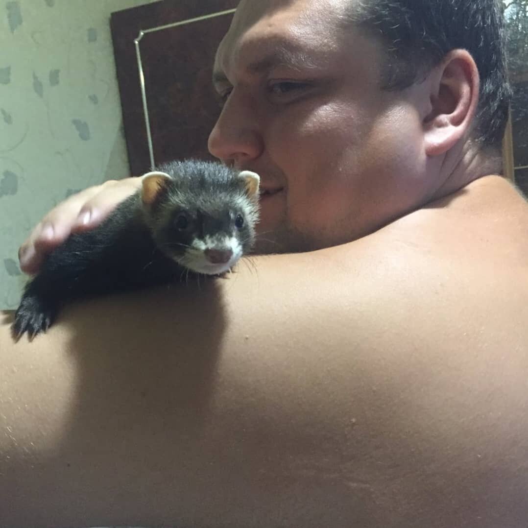 Наш ручной харек