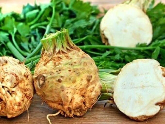 Корень сельдерея