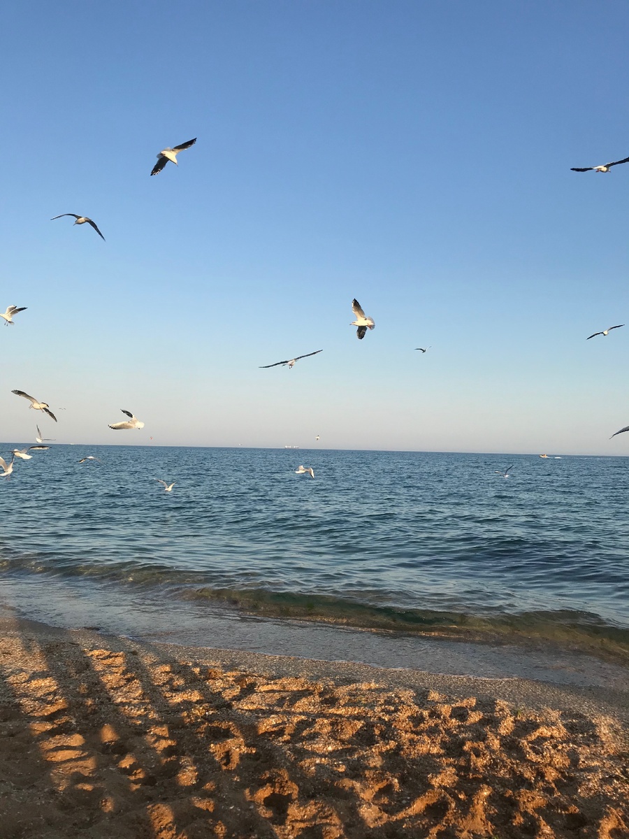 Такое оно будет:) Крым, Феодосия)