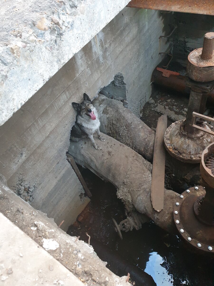 Внутри много воды и очень жарко.