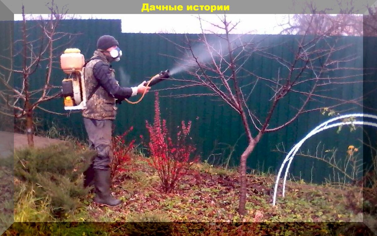 https://vk.com/photo-159774511_457244313