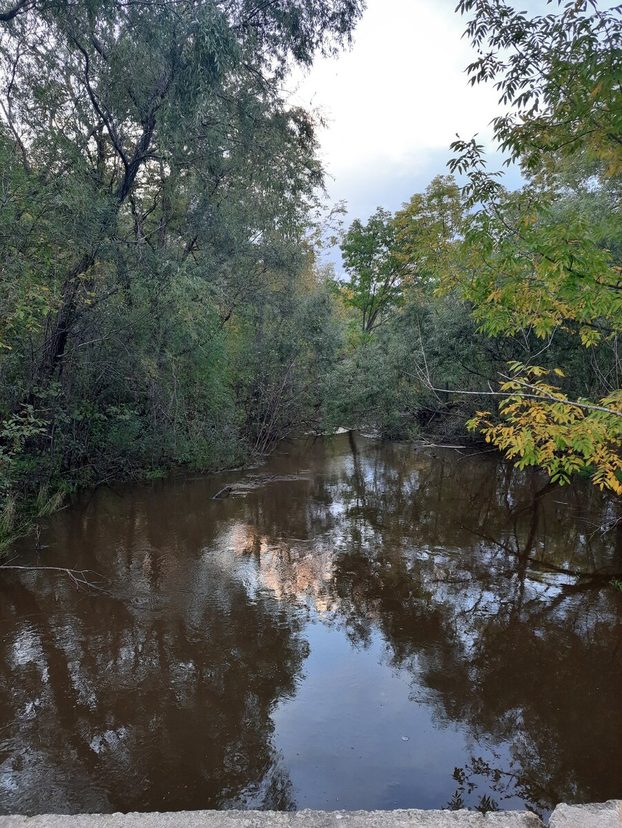 Осень