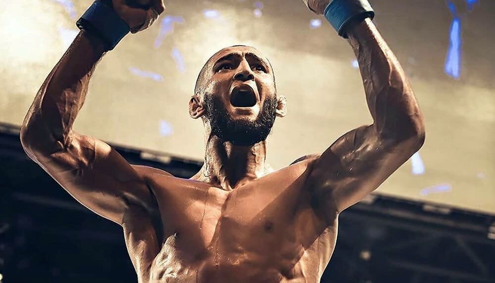 "Борз" - прозвище Хамзата Чимаева