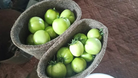 просоликамск.рф