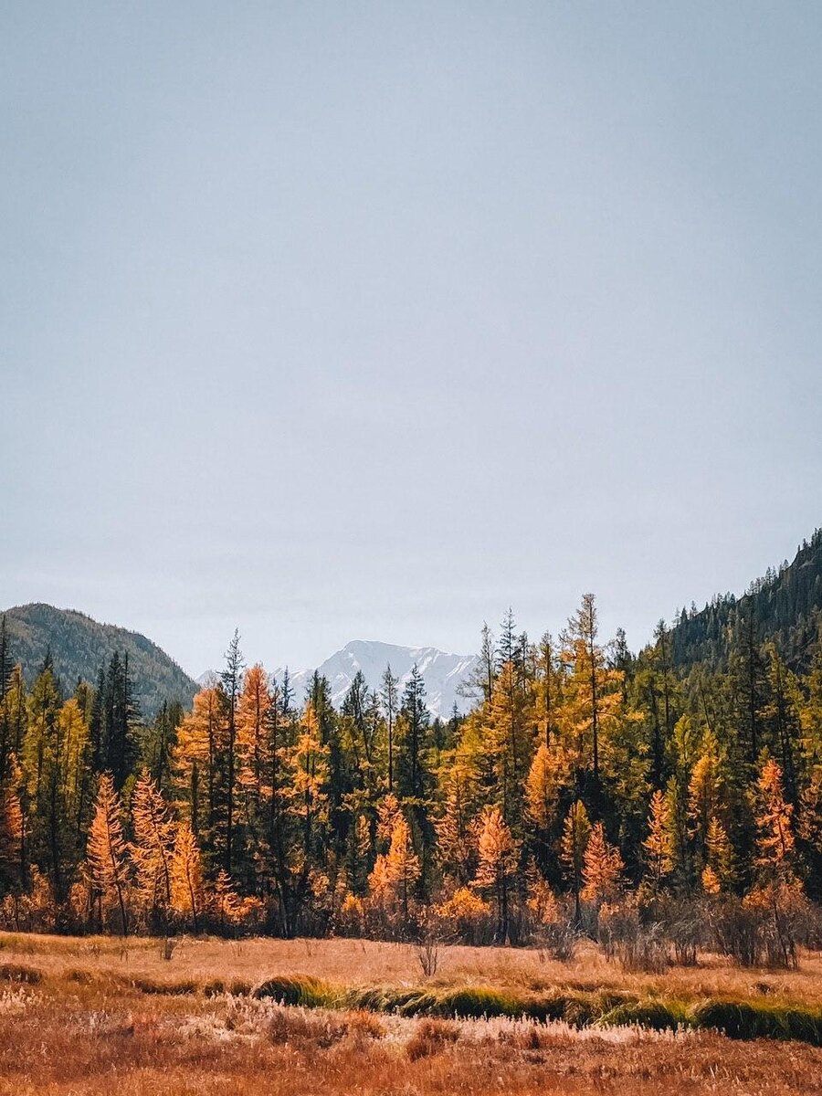 Республика Алтай