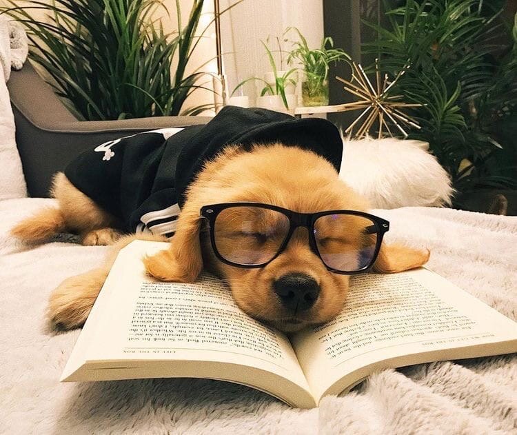 Милое фото из Pinterest