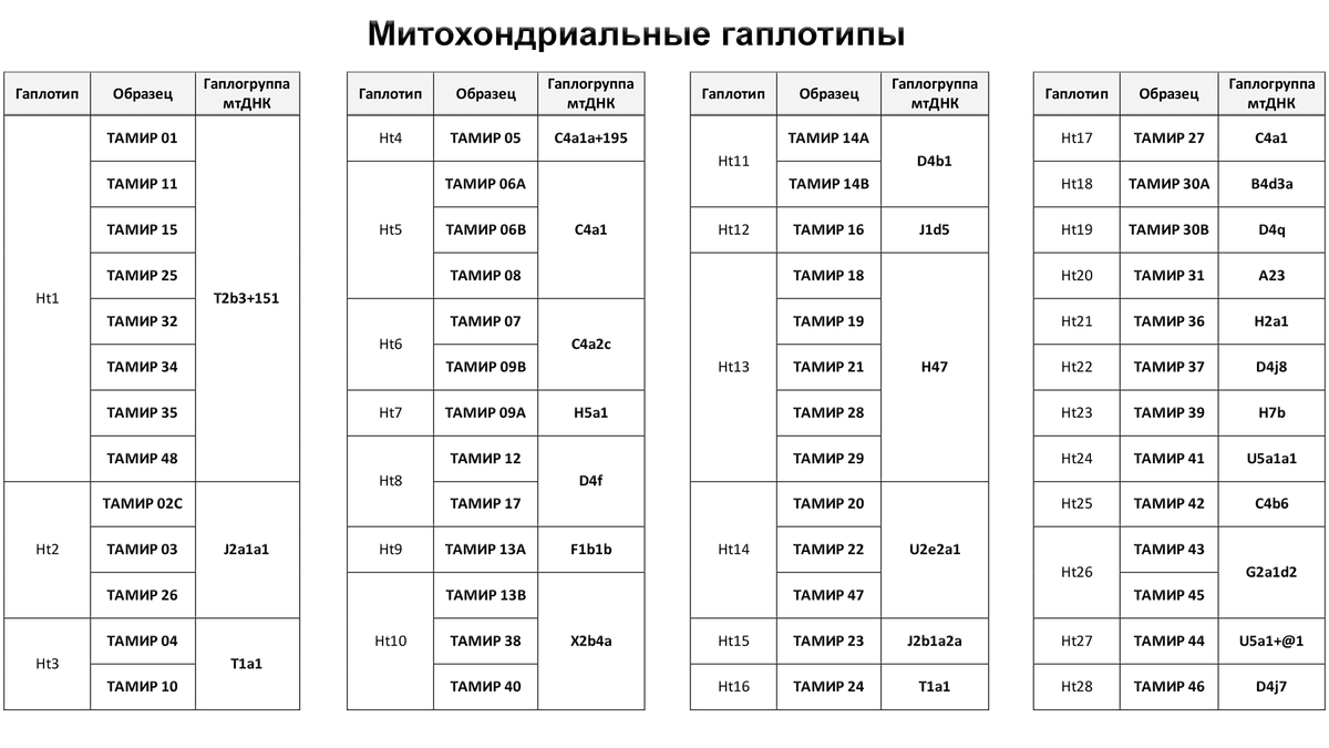 Скифы предки хунну, а хунну предки гуннов, аваров и мадьяр?