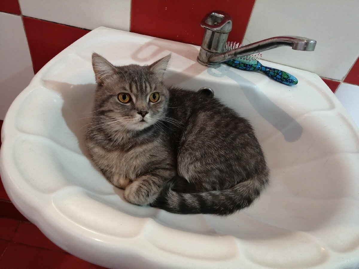 Фото из личного архива