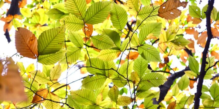 Как человеческие существа, мы склонны время от времени совершать ошибки, поэтому нам нужно научиться наилучшим образом справляться с ними. (Image: allison.hare via flickr CC BY 2.0)