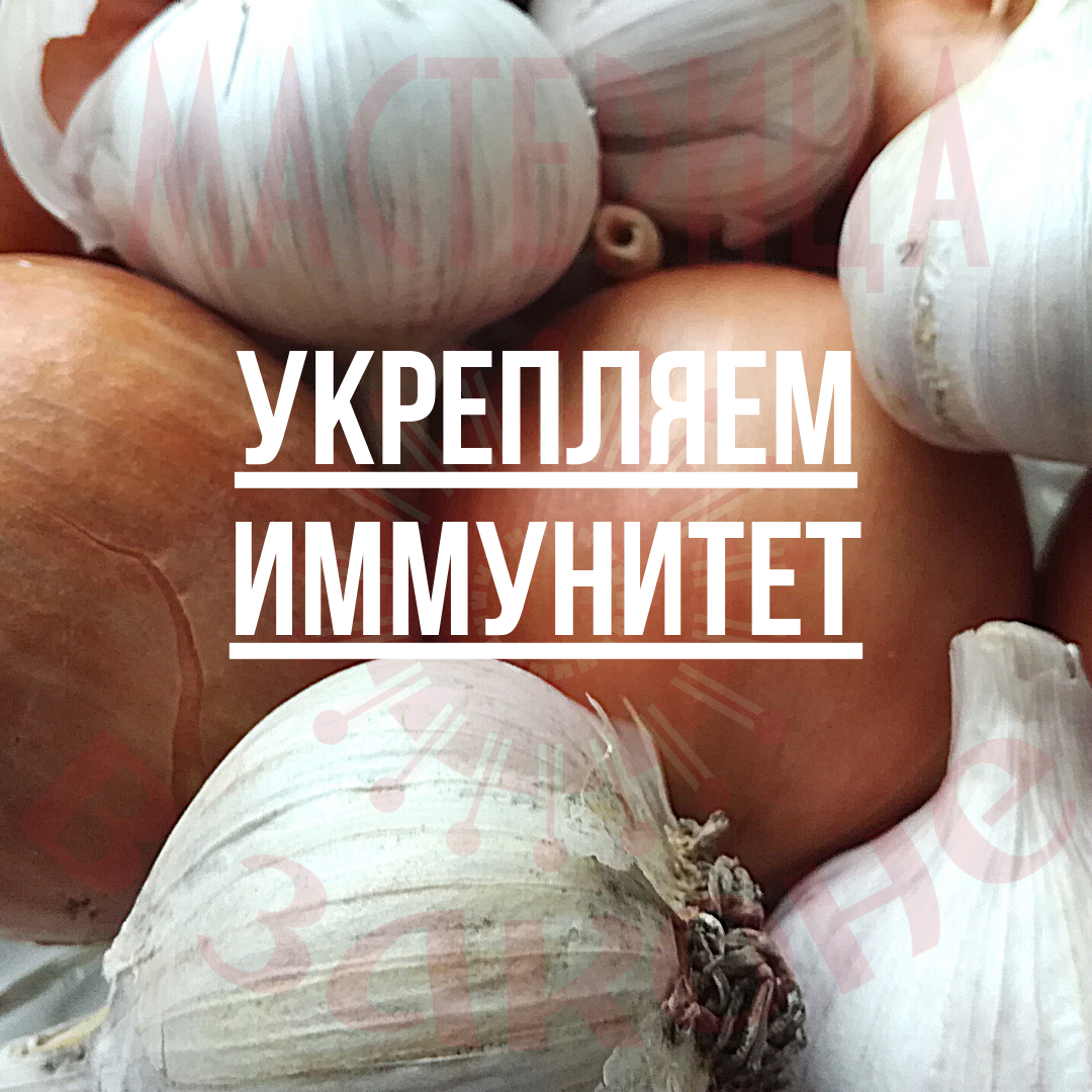 Польза чеснока и лука