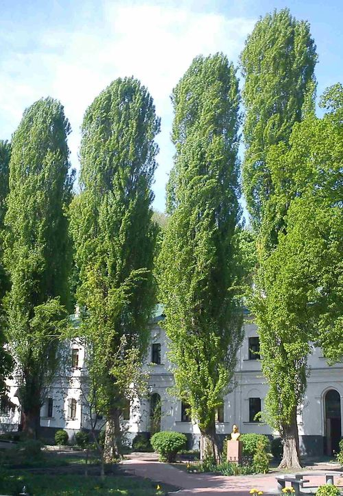 Источник:  yandex.fr/images/