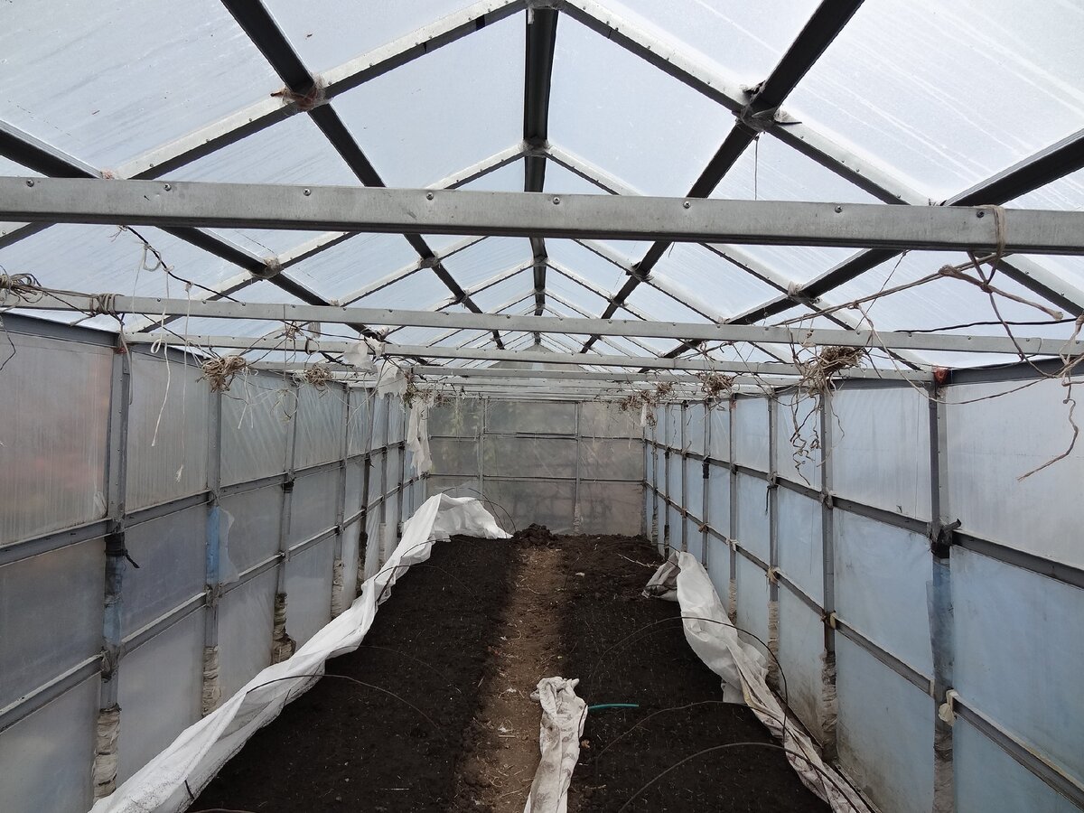 Самодельная теплица из профилей.