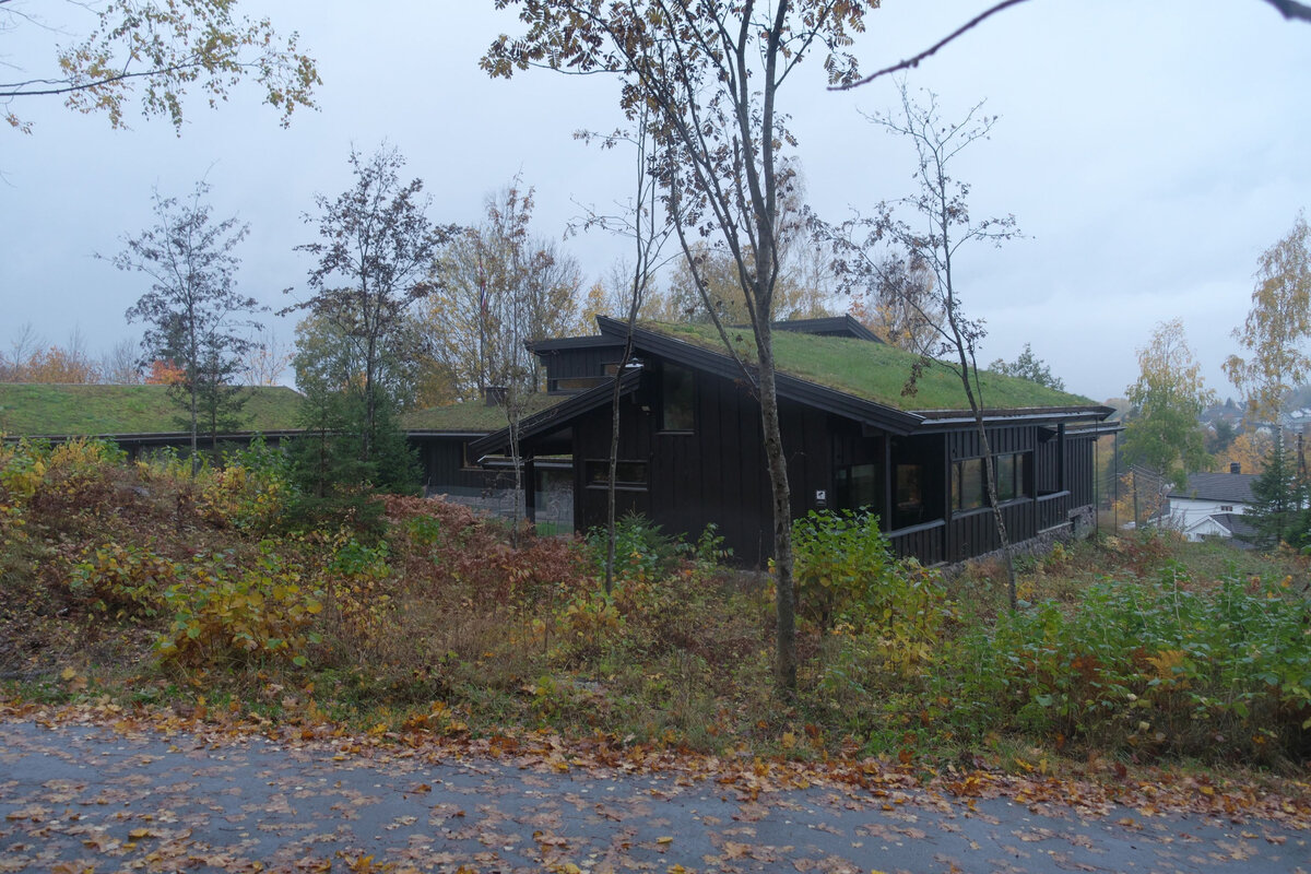 Современный дом с зеленой крышей в Норвегии