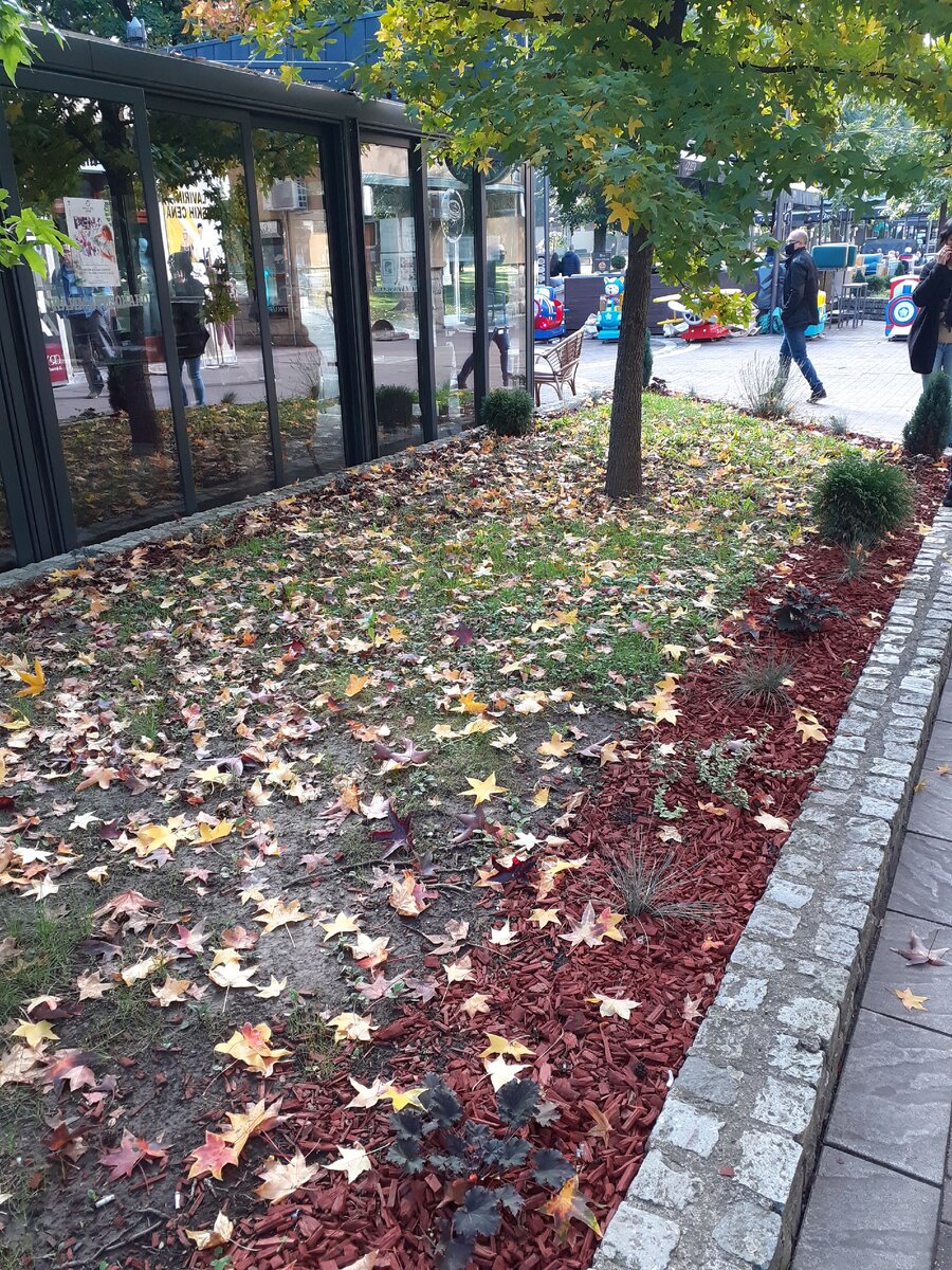 личная фотография