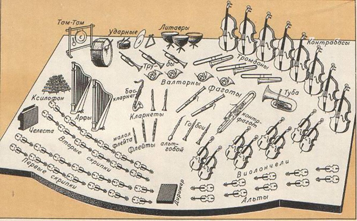 Расположение инструментов в симфоническом оркестре схема музыкальных