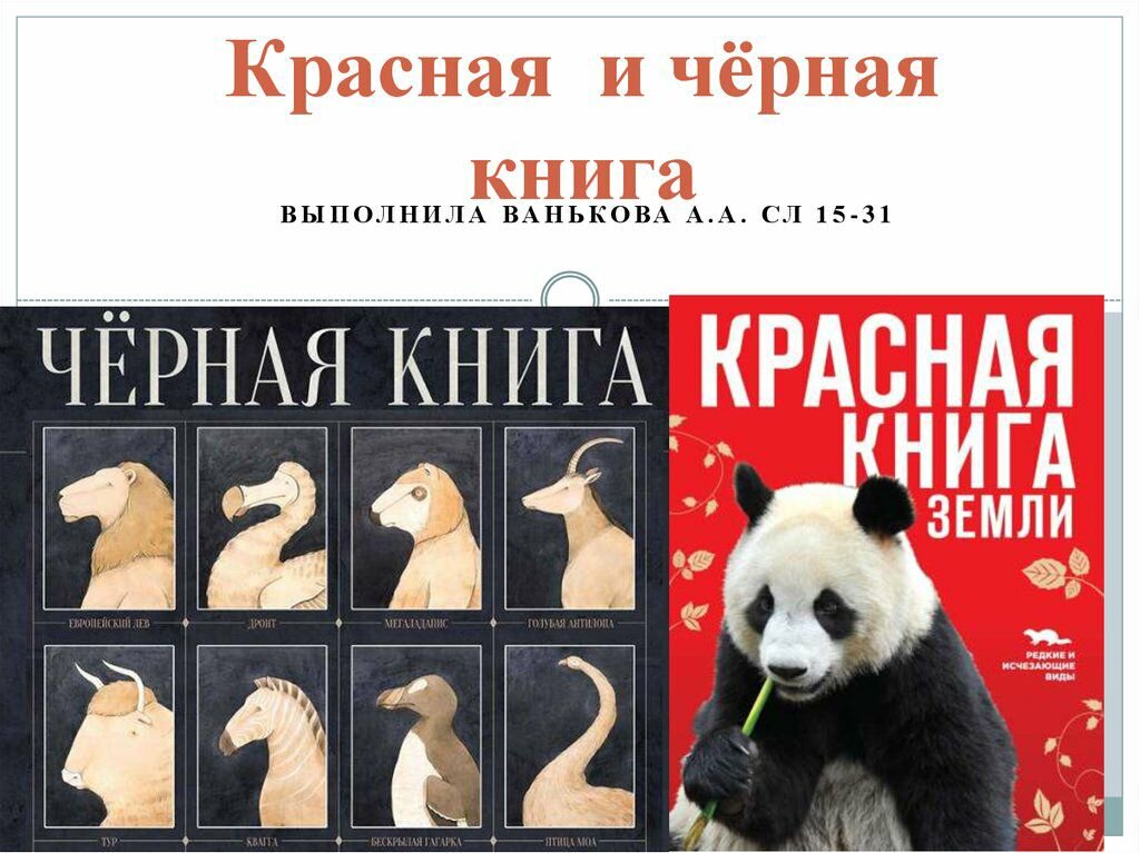 Картинки красная книга и черная книга