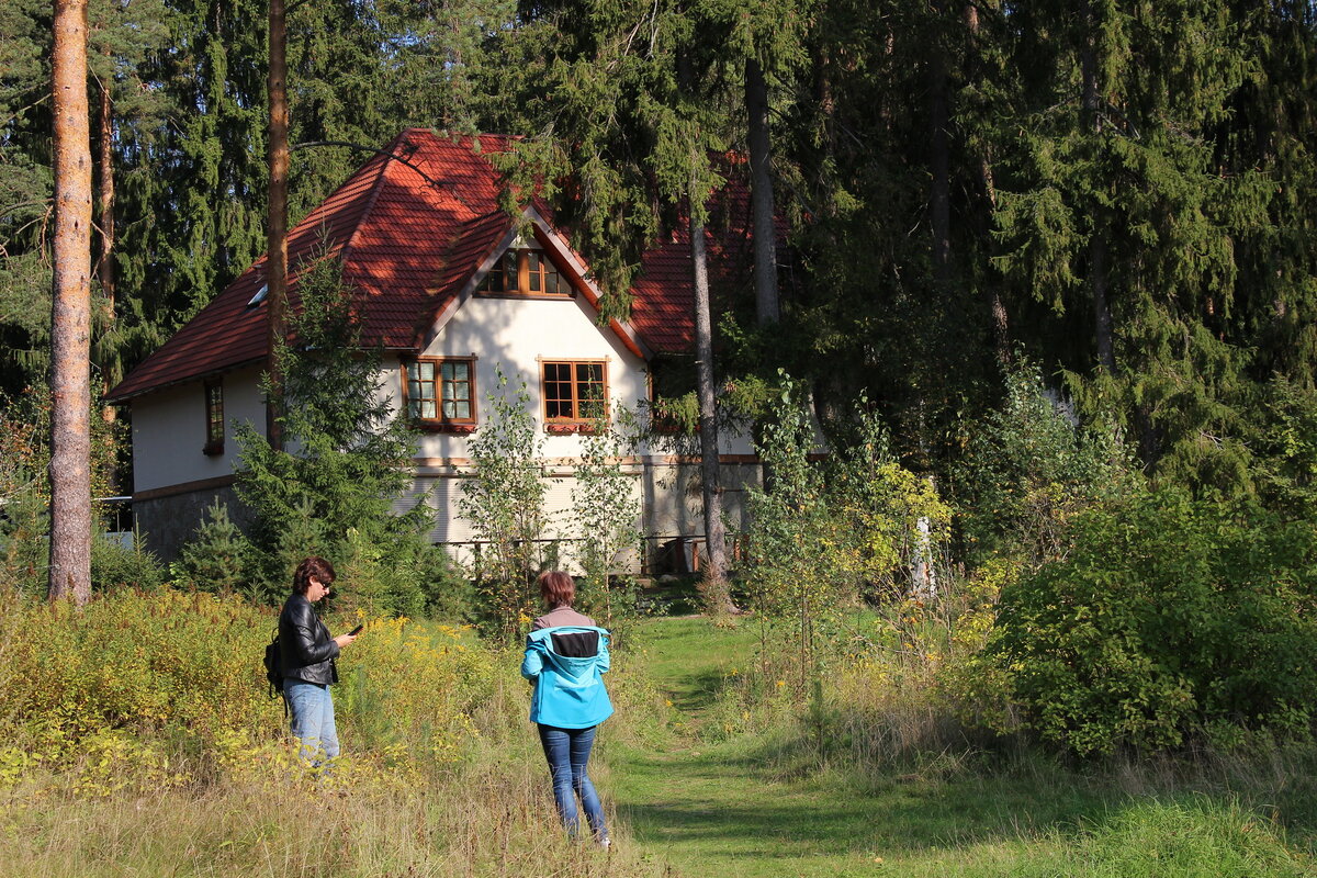 Отдыхаем в Ленинградской области. Гостевой дом «Лялин луг» |  Foto-Travel.NET | Дзен