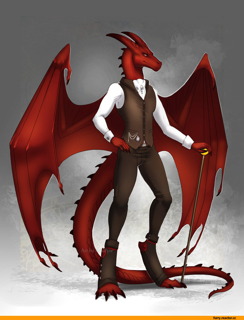 Anthro dragon. Фурри дракон. Фурри дракон красный. Дракон в полный рост. Фурия дракон.