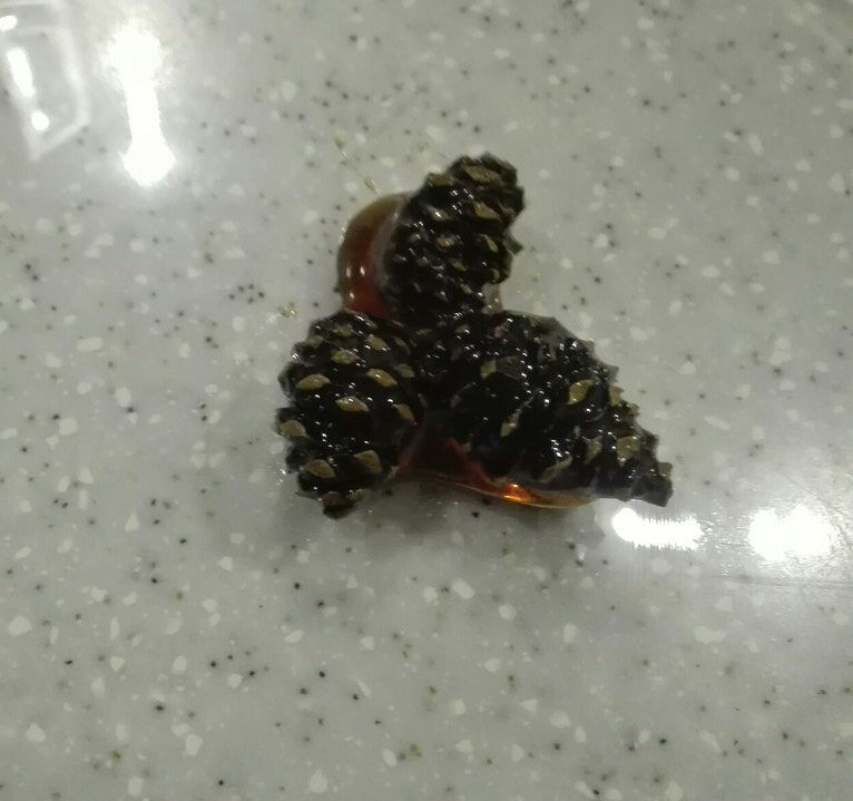 Шишки в сиропе - варенье?