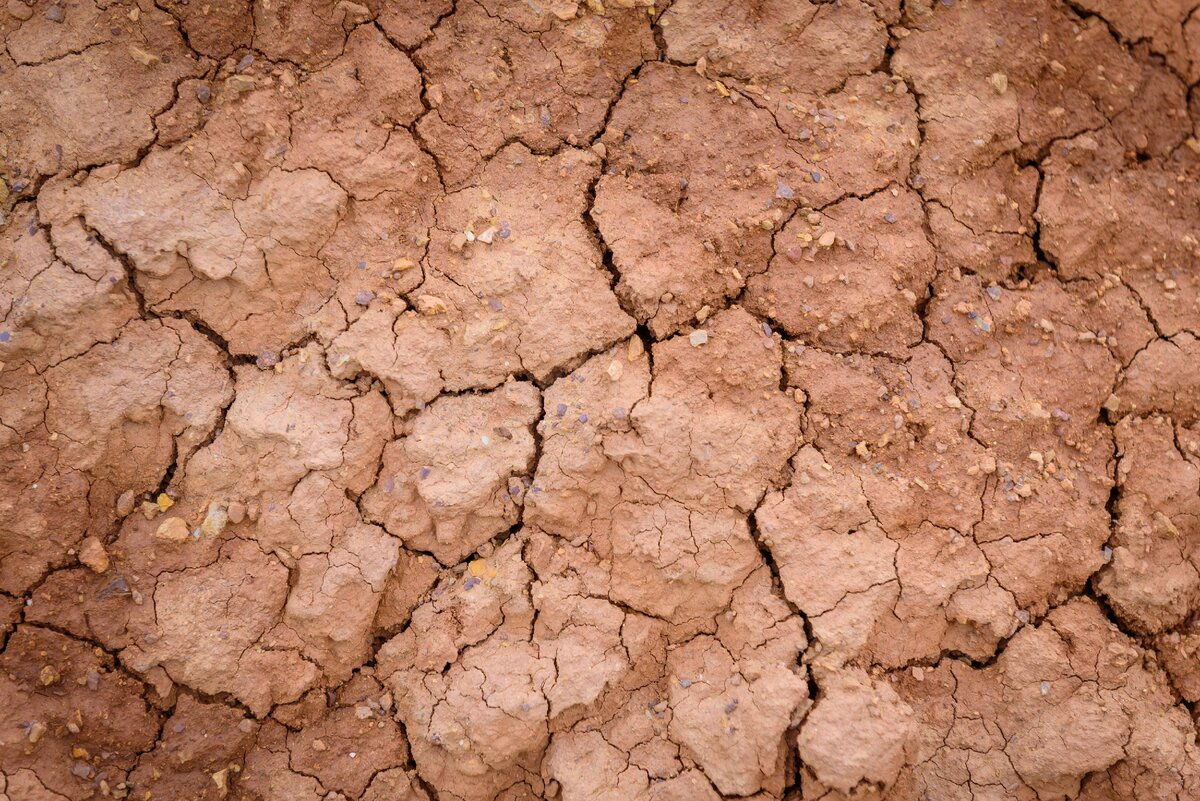 Пустыня во сне предвещает голод из-за долгой засухи.