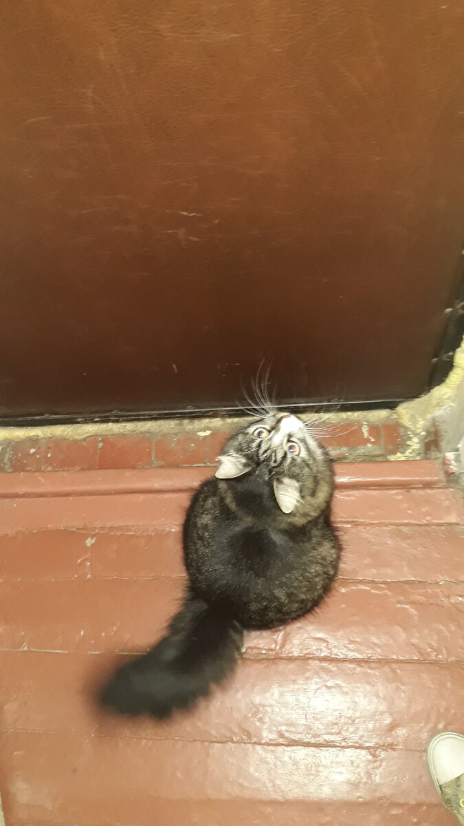 я иду с тобой