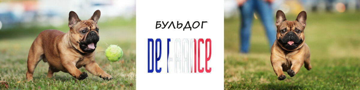 https://vk.com/public199923763